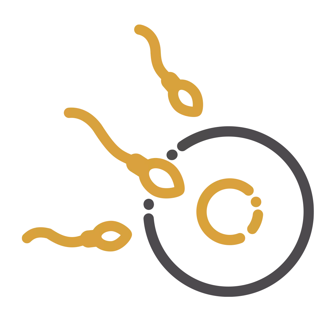 Kontrolluntersuchung Icon